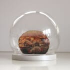 Sans titre (série Placuna placenta)