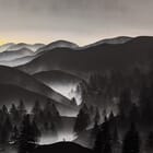 Where the silence waits