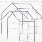 #569 Entangled House