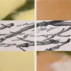 Field Boundary Diptych I