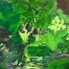 Green is the colour 2