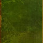 Echoes And Visions No. 14