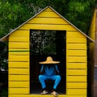 UNDER THE PAINTED SUN 