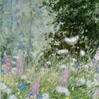 Les rêves de la forêt