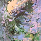 Diving into the Blue