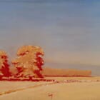 Arbres vers Courances