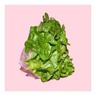 Growth & Prosperity (Green Lettuce) - (small)