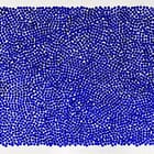 "Temps Céleste 2025 "