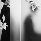 Lily's Imprint: Form and Fragment​