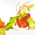 Etendue spontanée - grande #9