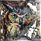 Tableau métal : Hibou arc en ciel