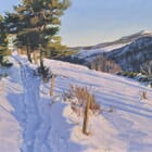 Snowy Path in Mézenc