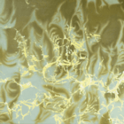 The Dragonfly Will Be The Messiah