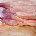 La Femme Nuage Eveline 