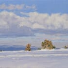 Pines on the snowy summit of Mount Mézenc