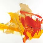 Etendue spontanée - grande #10