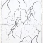 #574 Entangled Reality