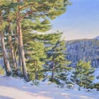 Winter afternoon on the Mézenc