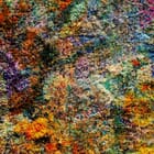 (Masterpiece Edition) Wall of Nature LV