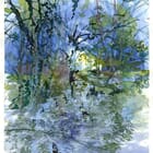 Sous-bois Puisaye Forterre Bourgogne