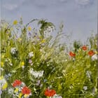 telle une ombrelle, la carotte sauvage