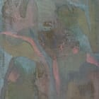 Within the Misty Interior