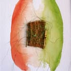 Sorbet Fraise basilic