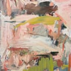 Sleeping on Pink Hills