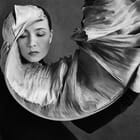 A Leaf’s Whisper to the Soul - II