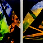 Faits d'affect dytique