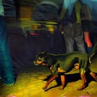 That Day Without an Audience