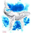 Whale turquoise
