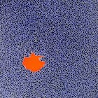 2026/4 -  sans titre