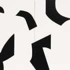 Choosing 260123 (Diptych)