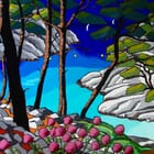 Cassis, calanque de Port pin, au printemps