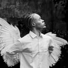 Of Feathers and Flesh III