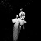 Of Feathers and Flesh