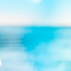 Soft Costa Brava - Barcelona 52