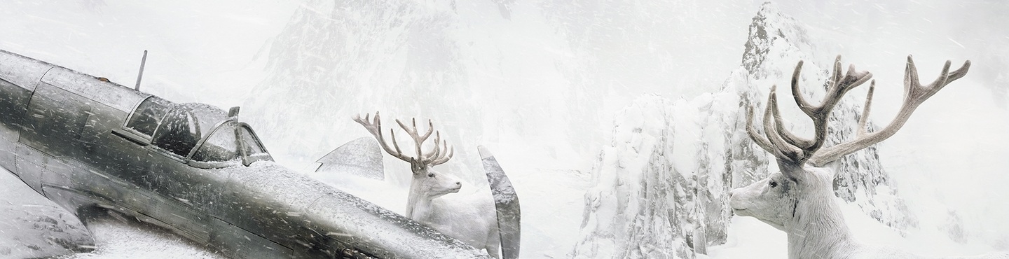 Christmas Collection