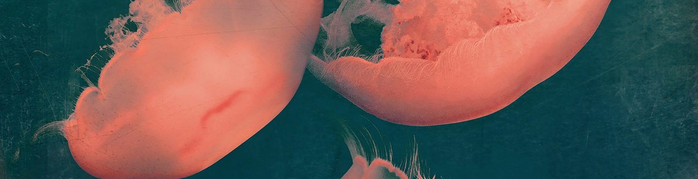 Erschwingliche Kunst