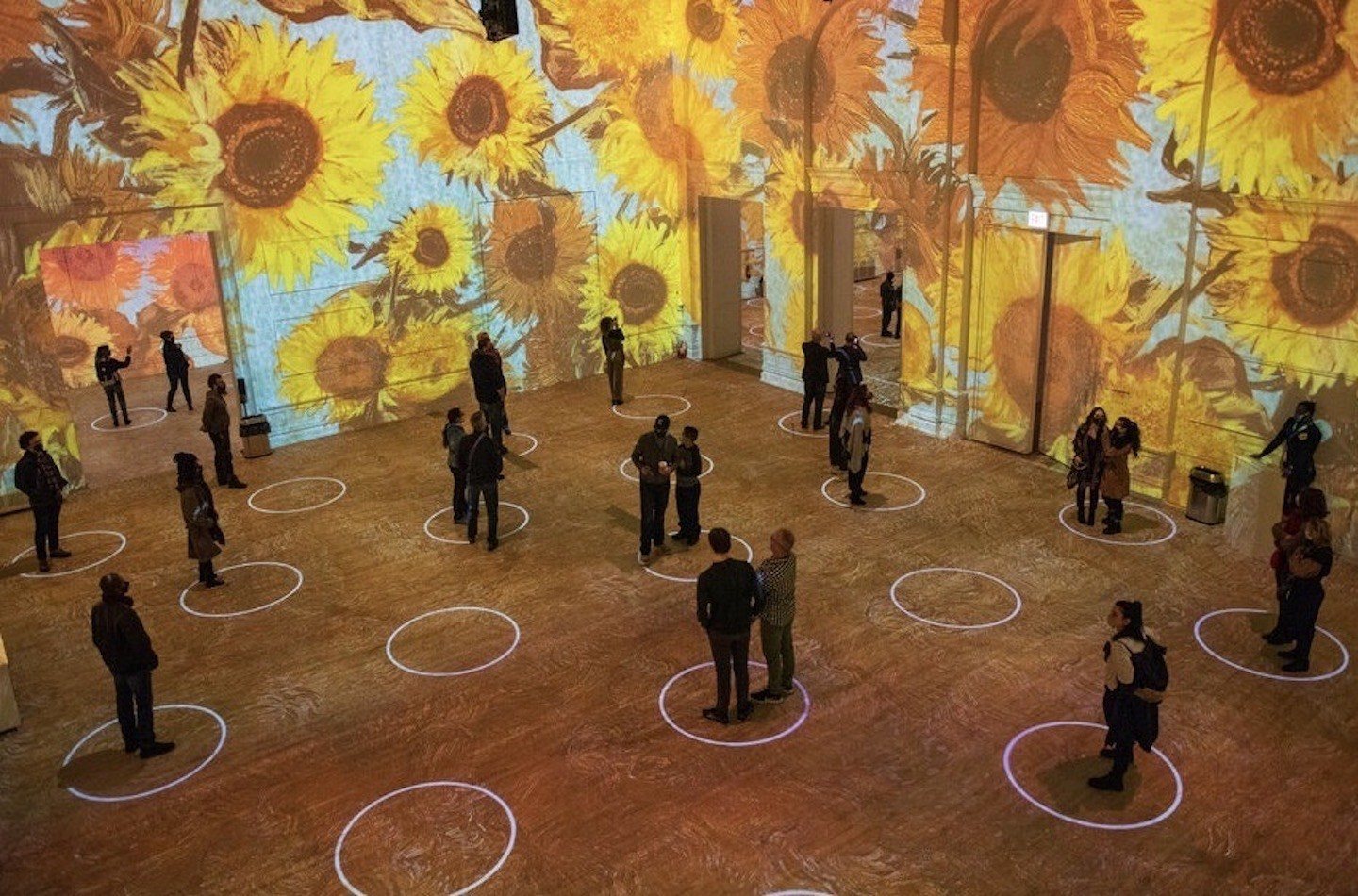 Art Exhibitions in San Francisco: What’s on?