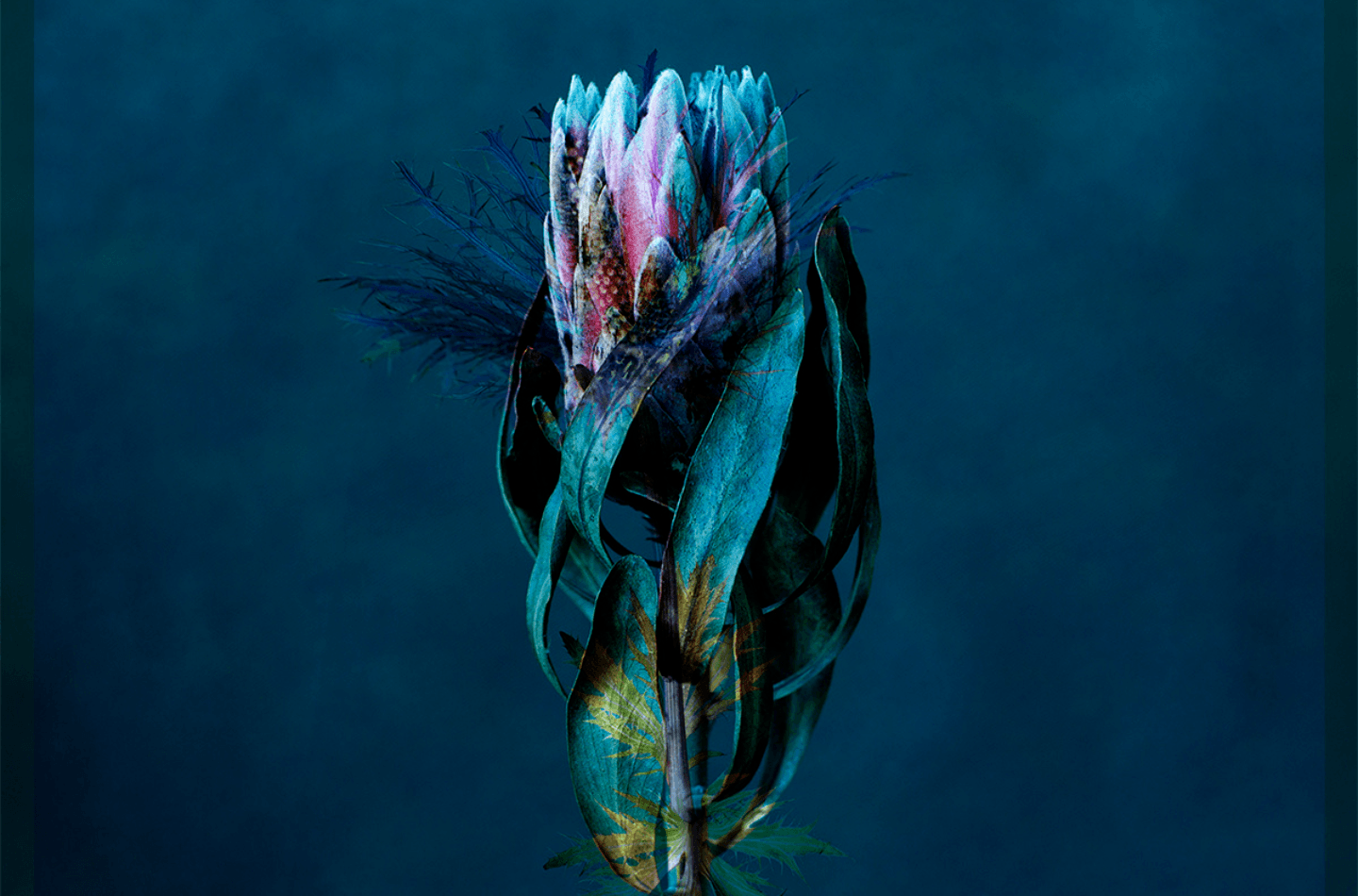 Emilie Moysson et la création d'instants extraordinaires