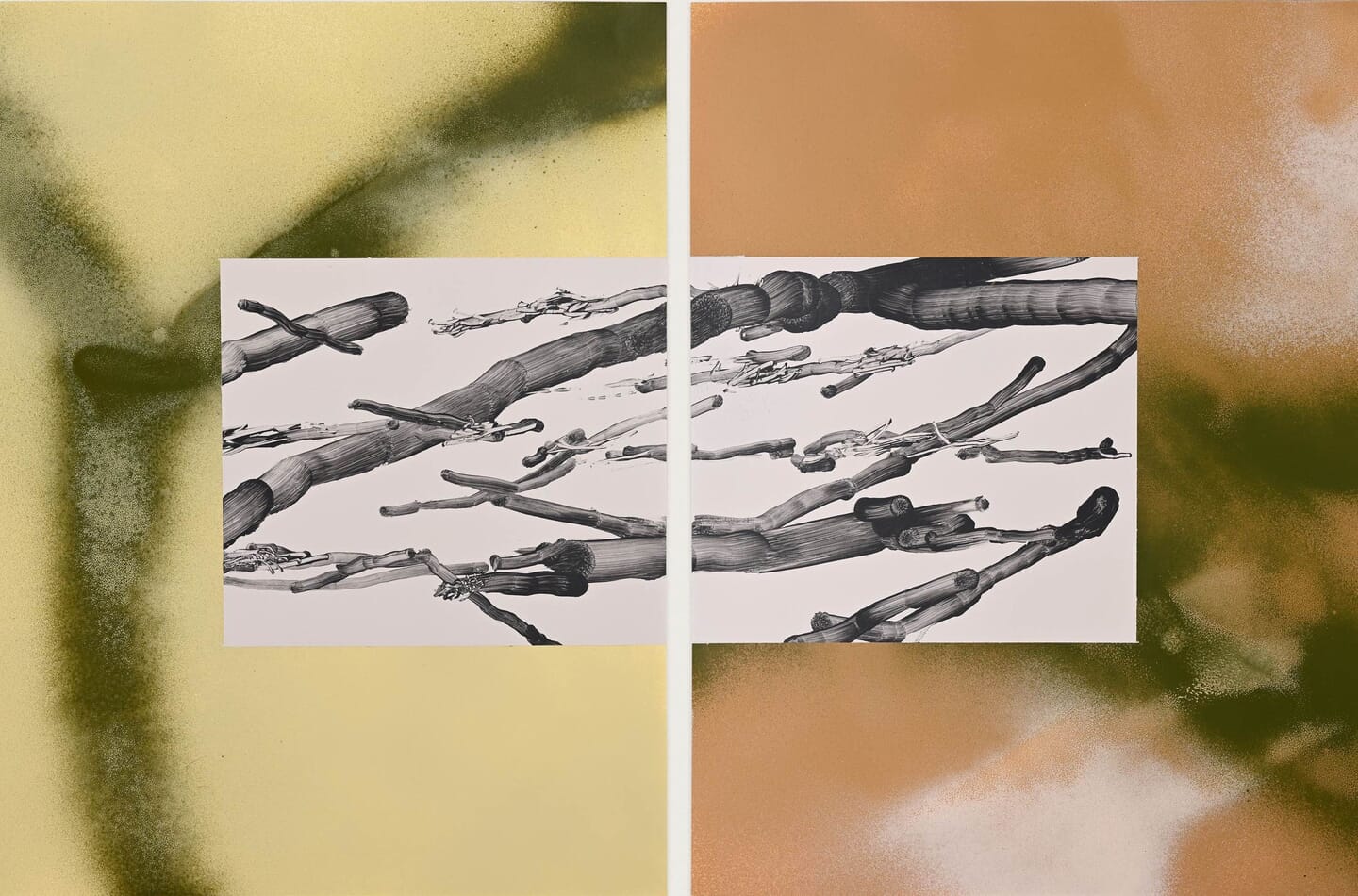 Euphrosyne Andrews und Daniel Fletcher: Verschwimmende Grenzen und Urheberschaft