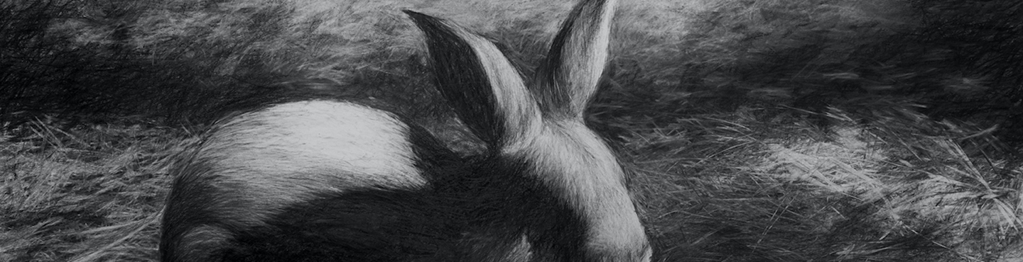 Foray into the Figurative