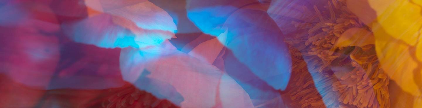 Works with Wow Factor