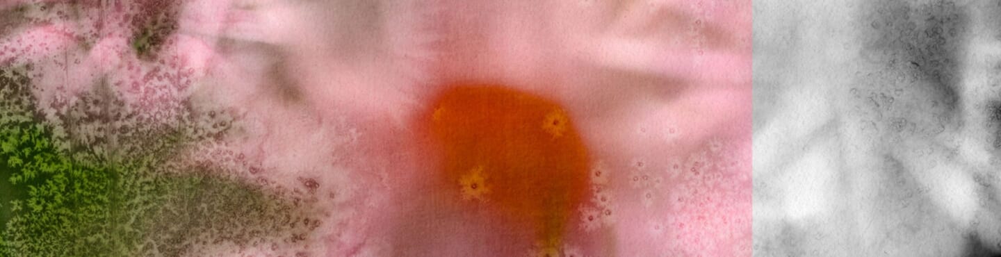 Notre sélection de janvier