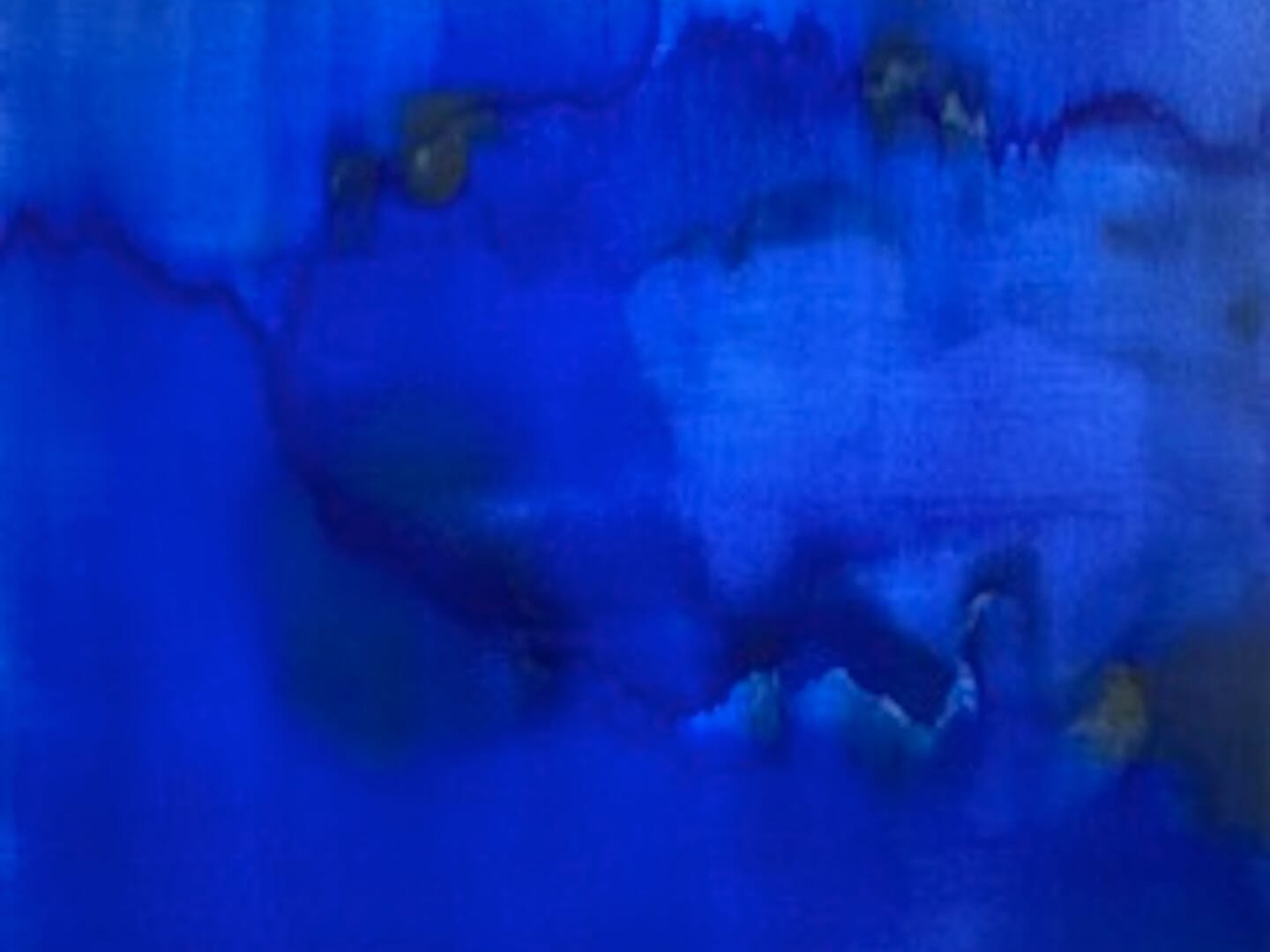 Through The Looking Glass | Art Event | Rise Art