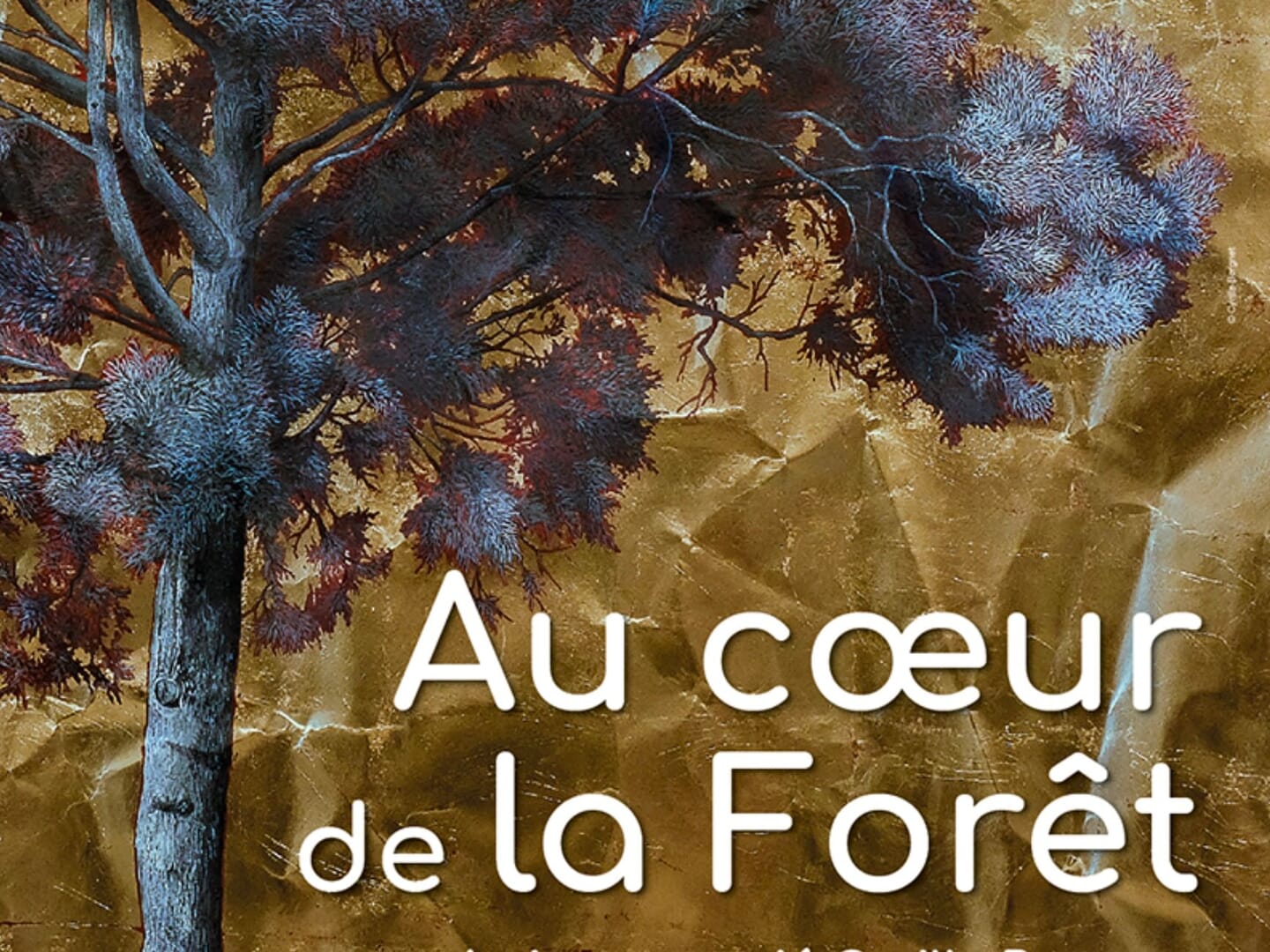 Au cœur de la forêt