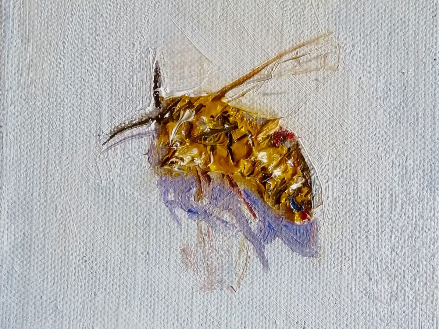 Pensychnant Open Exhibition