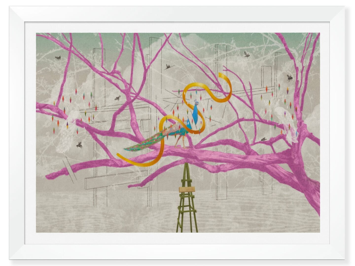 Radiance 2026
